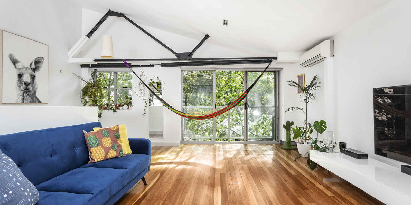 239 Cope Street Waterloo 239 Cope Street Waterloo