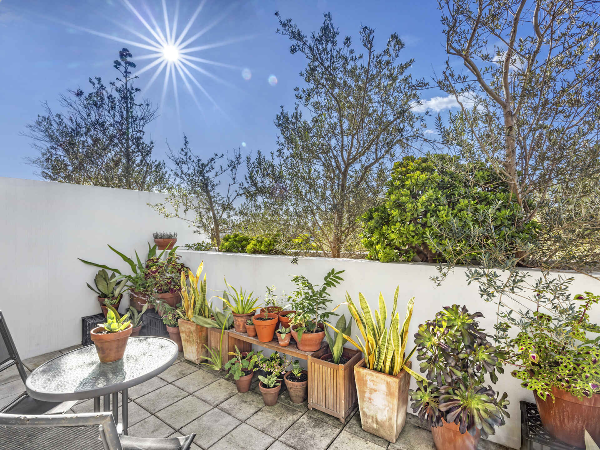 27/1 Ralph Street Alexandria