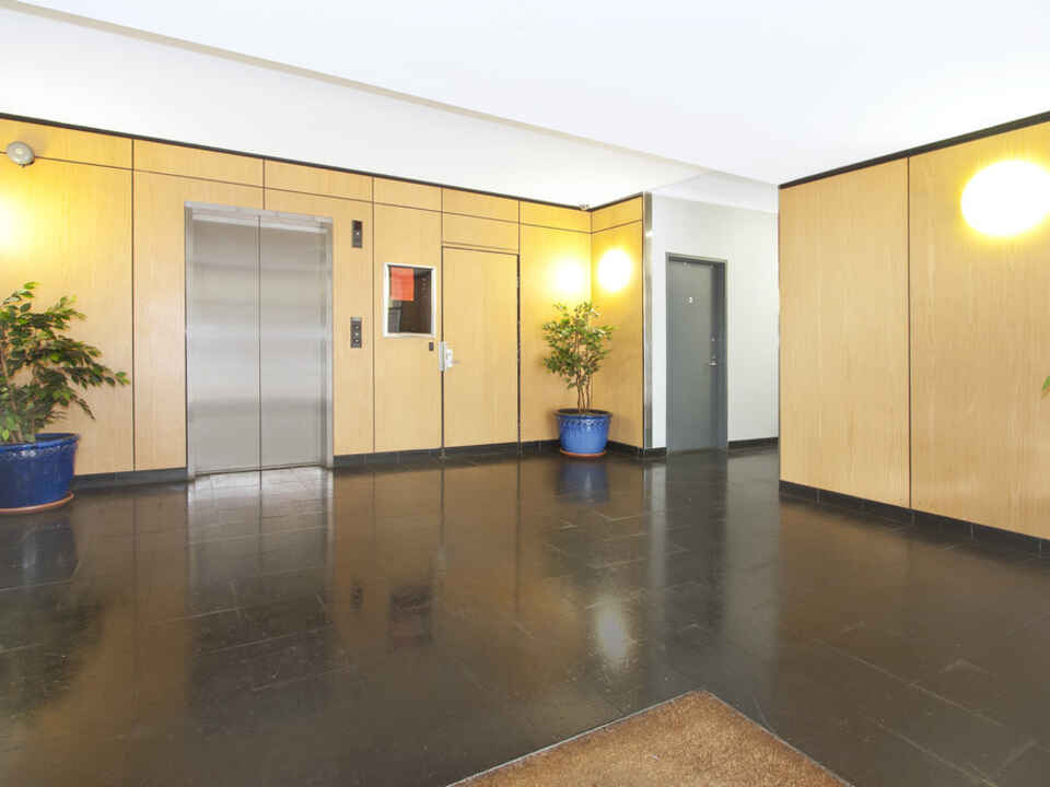2/551 Elizabeth Street Surry Hills