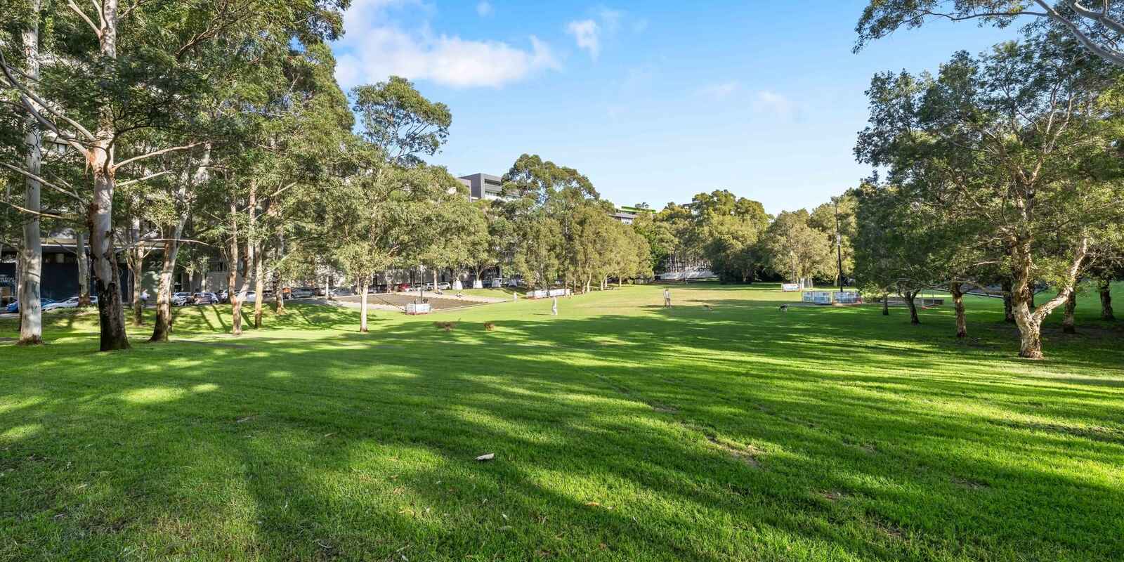 60/5B Victoria Park Parade Zetland 60/5B Victoria Park Parade Zetland