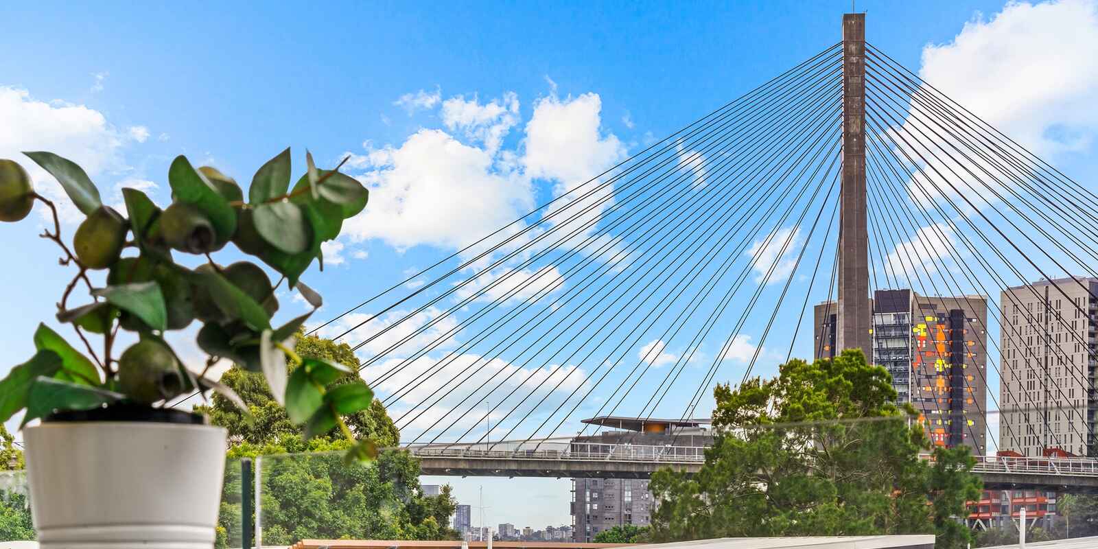 310/14 Griffin Place Glebe