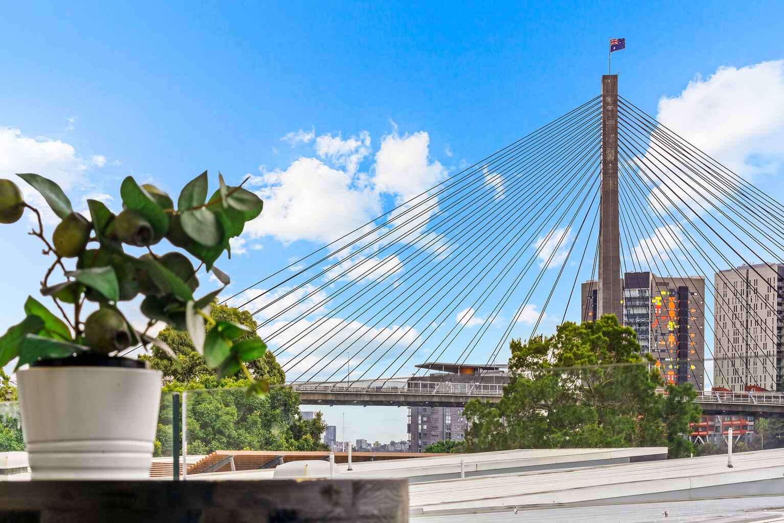 310/14 Griffin Place Glebe