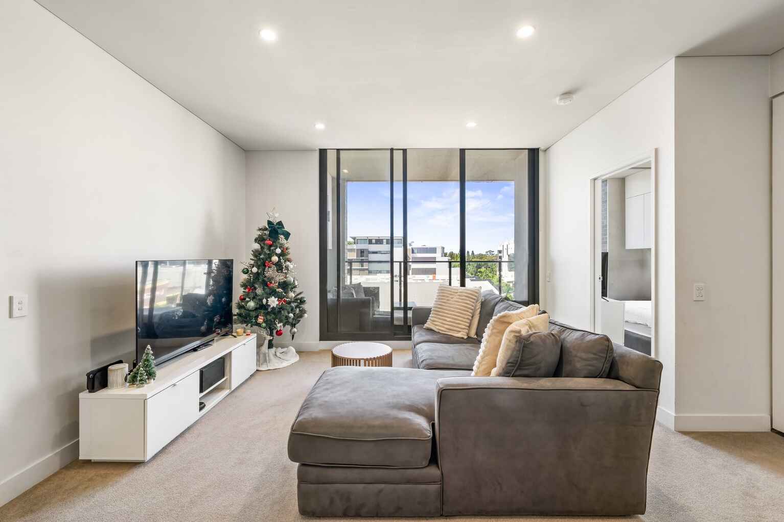 31/767 Botany Road Rosebery