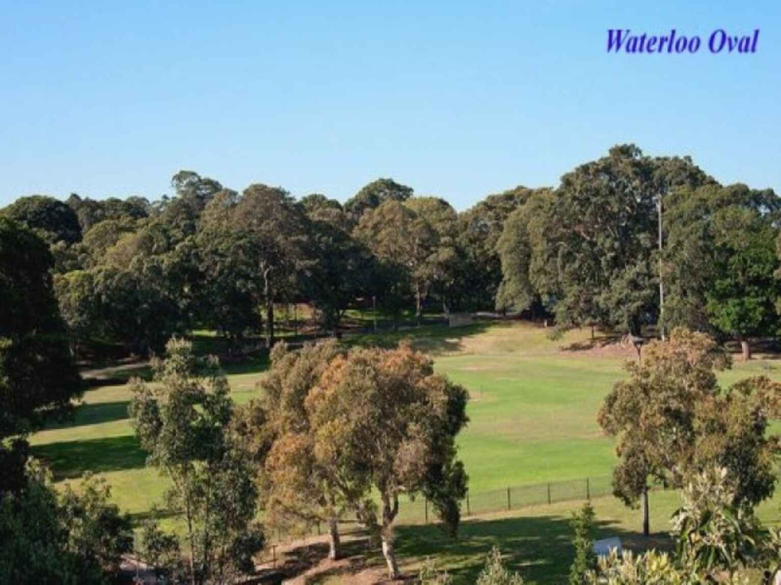 826B/824 Elizabeth Street Waterloo