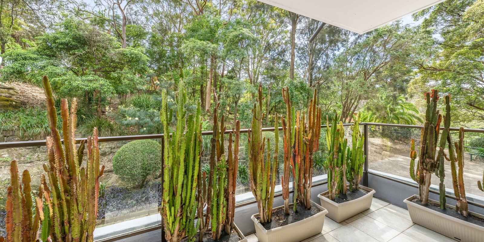 16/25a Marks Street Naremburn