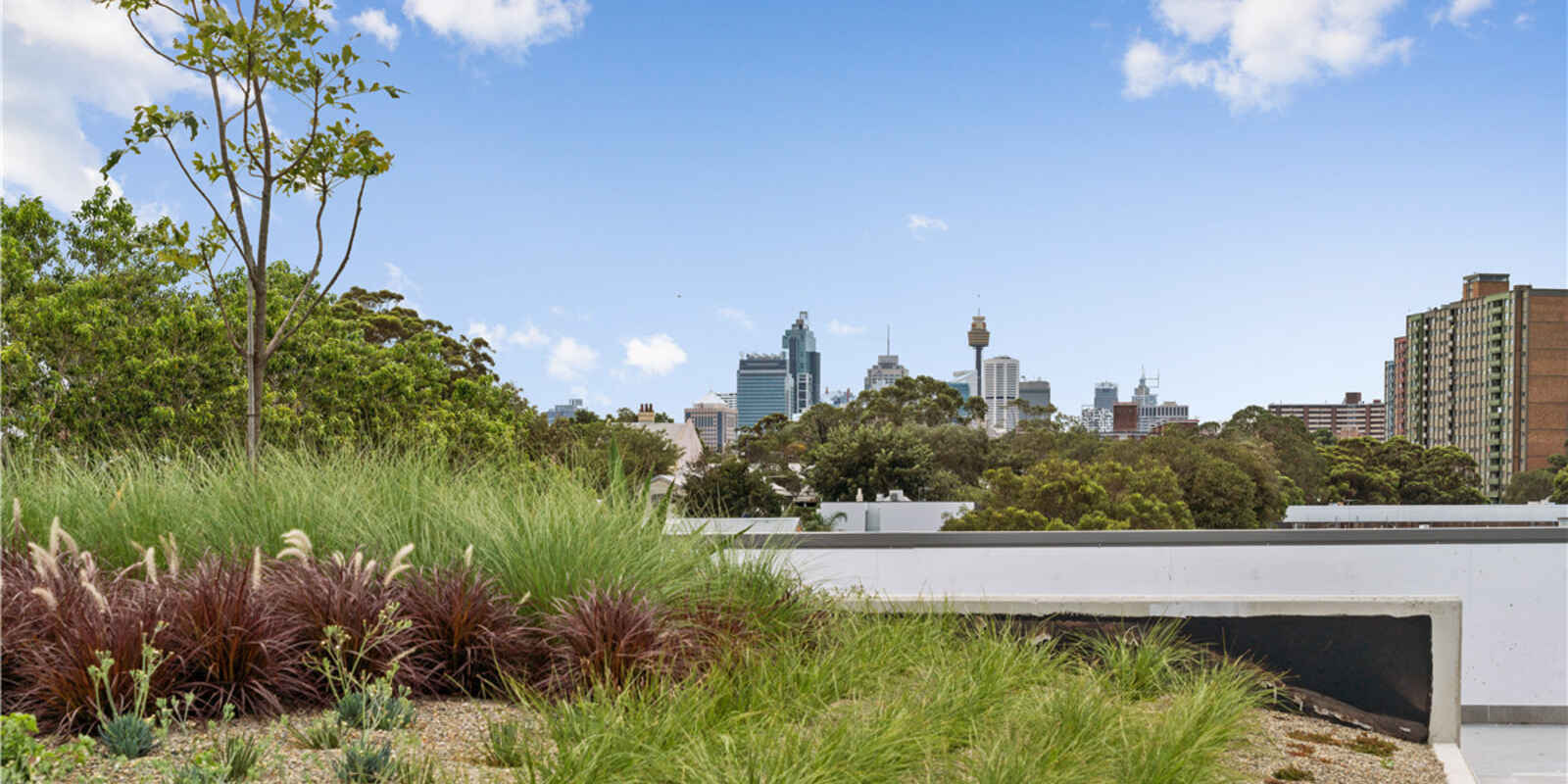 213/10-20  McEvoy Street Waterloo