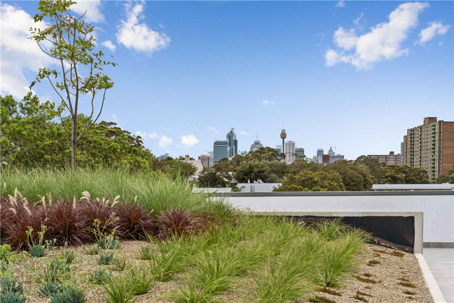 213/10-20  McEvoy Street Waterloo