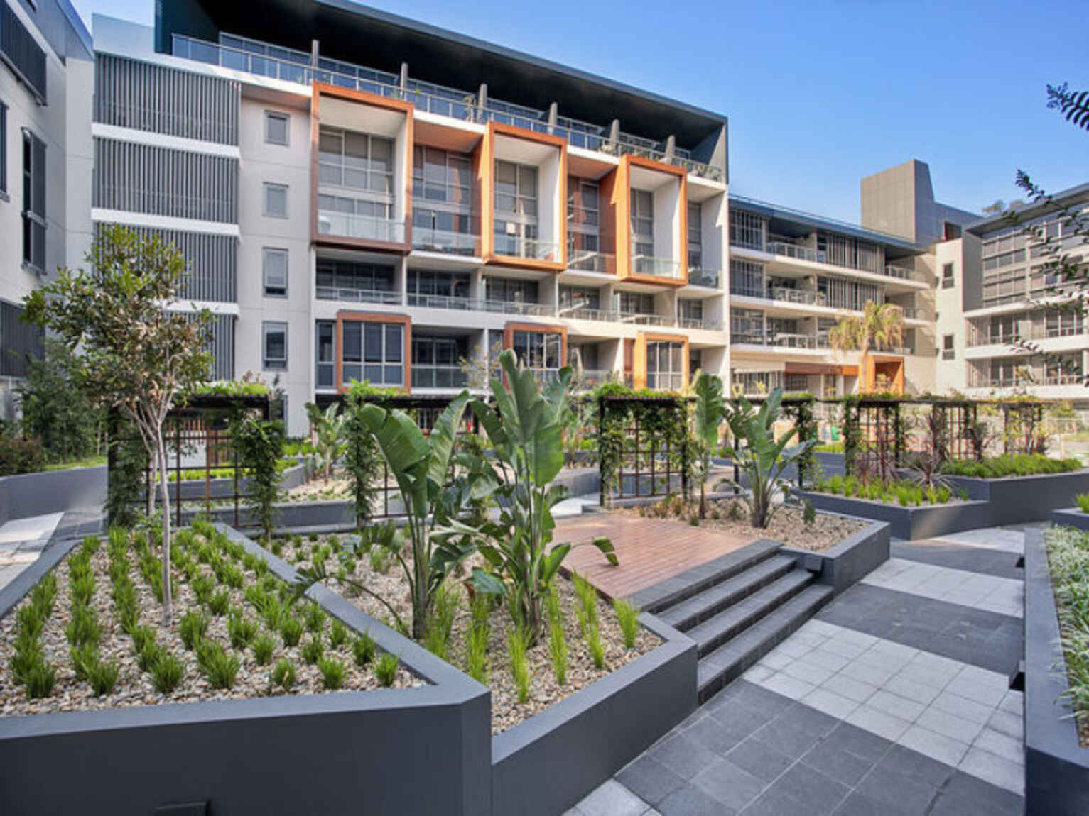 54/6 Archibald Avenue Waterloo